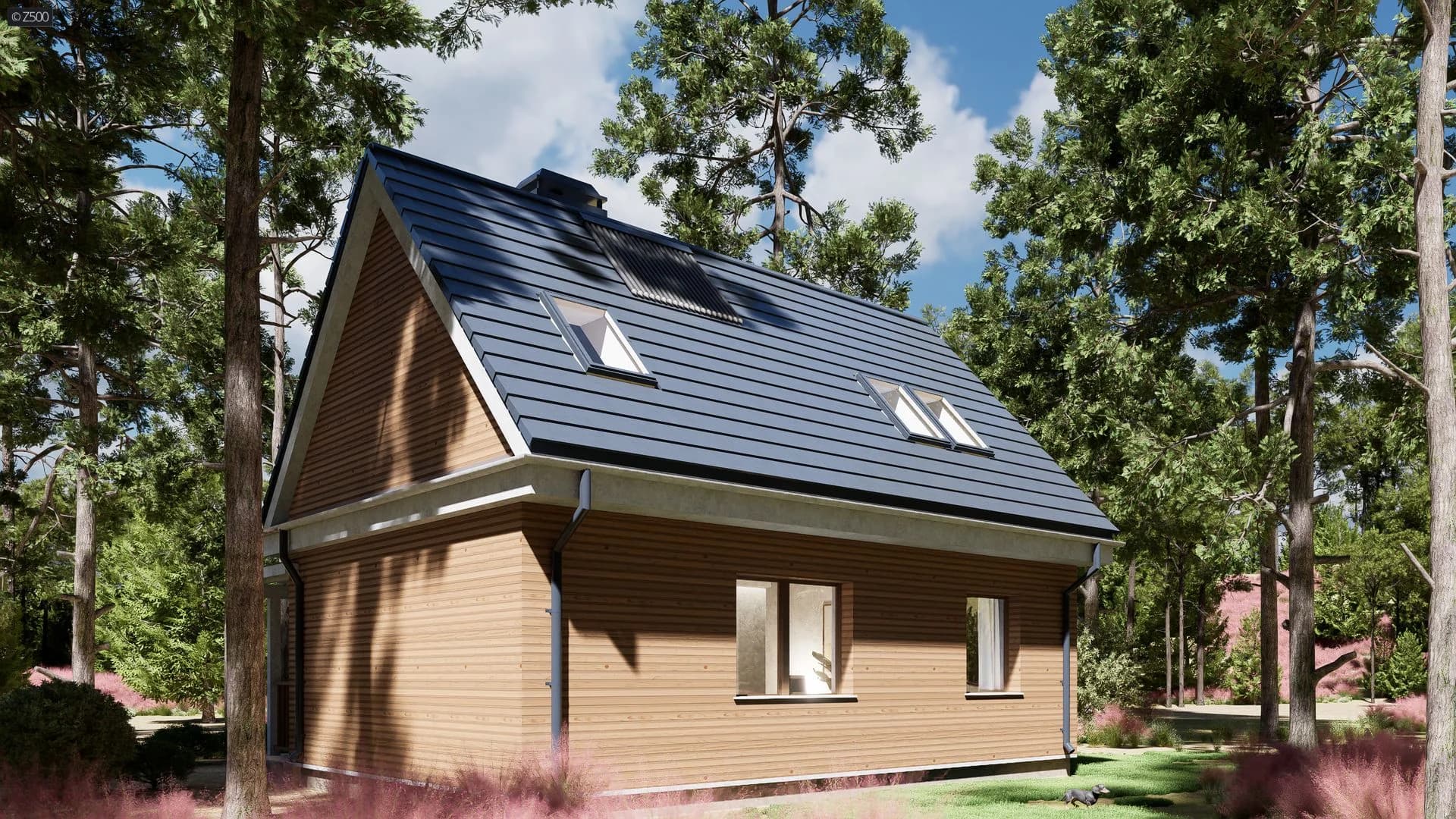 Z39 v2 maja – välisvaade